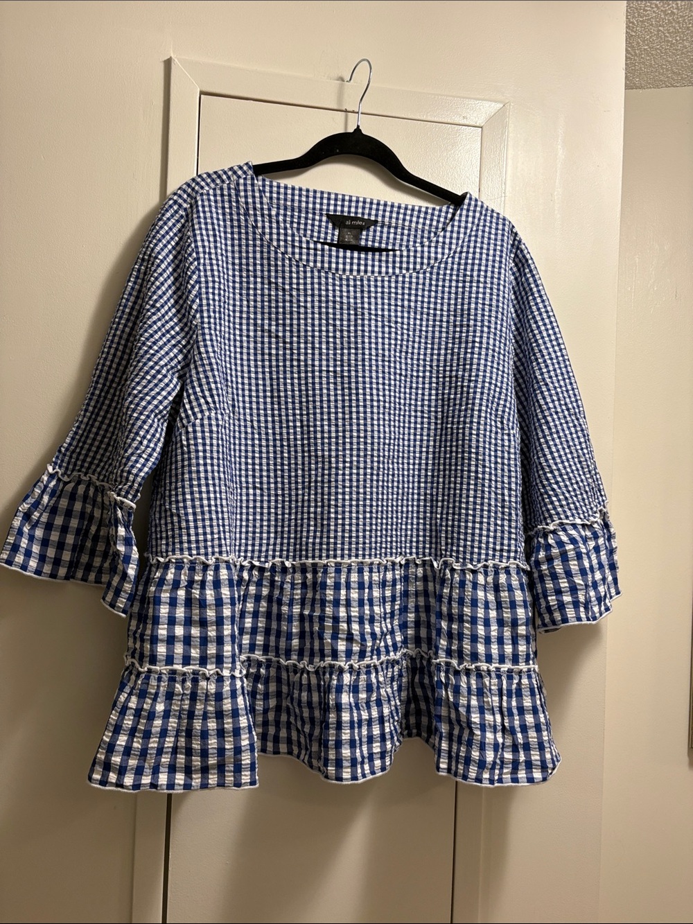 Ali Miles Blue Gingham Ruffle-Sleeve Cotton Top